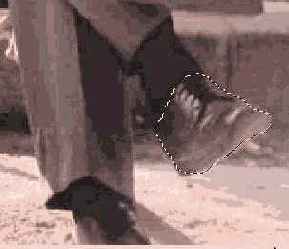 Восстановление утраченного фрагмента